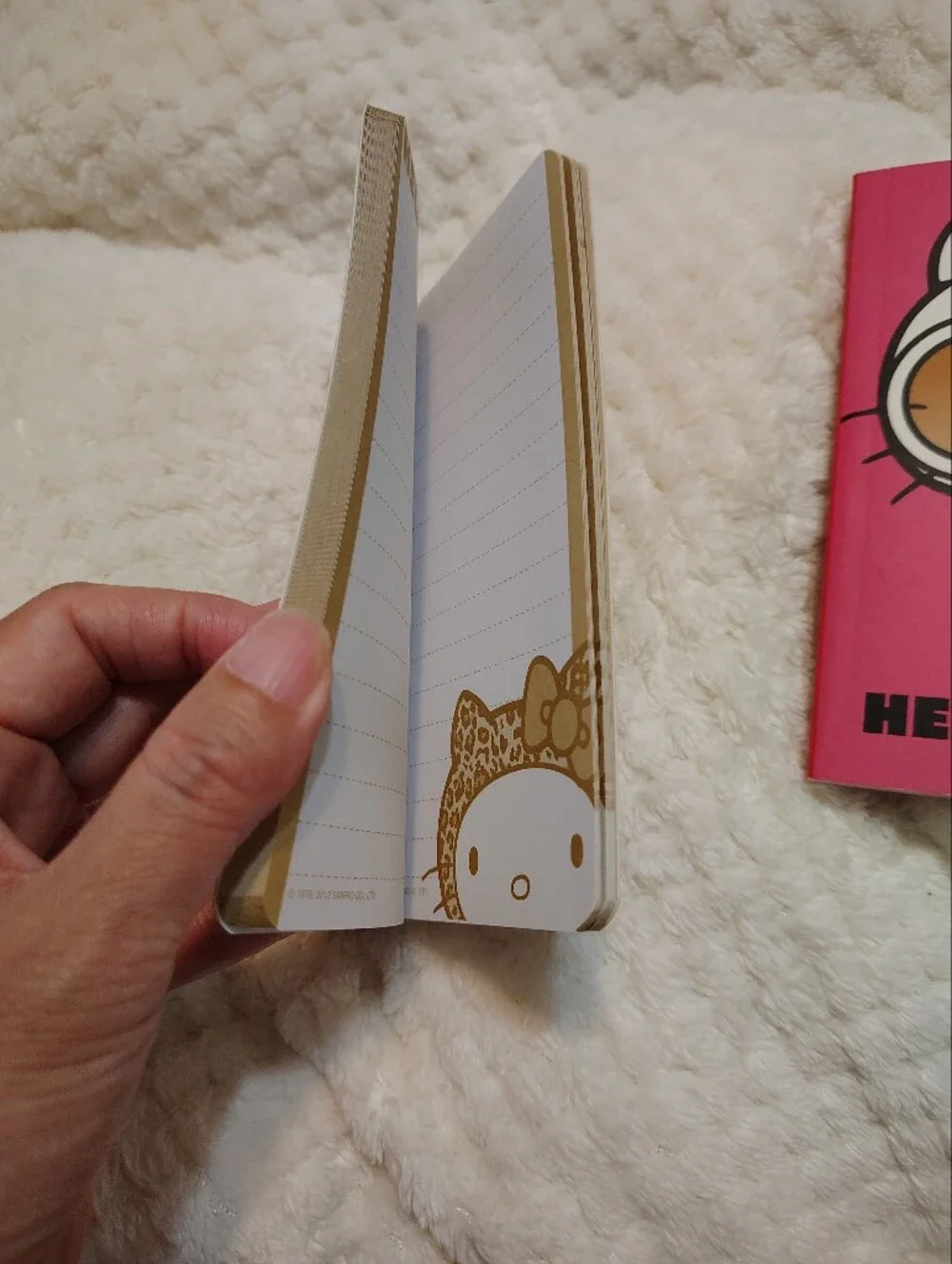Hello Kitty Pink & Leopard Print Journal Duo - Forever 21